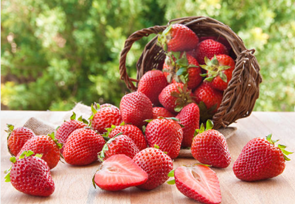 Fondant Fraise