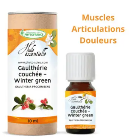 Gaulthérie Couchée