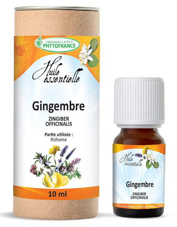 Gingembre