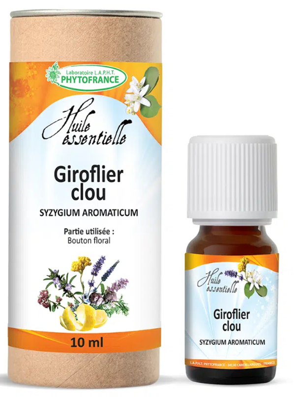 Giroflier Clou
