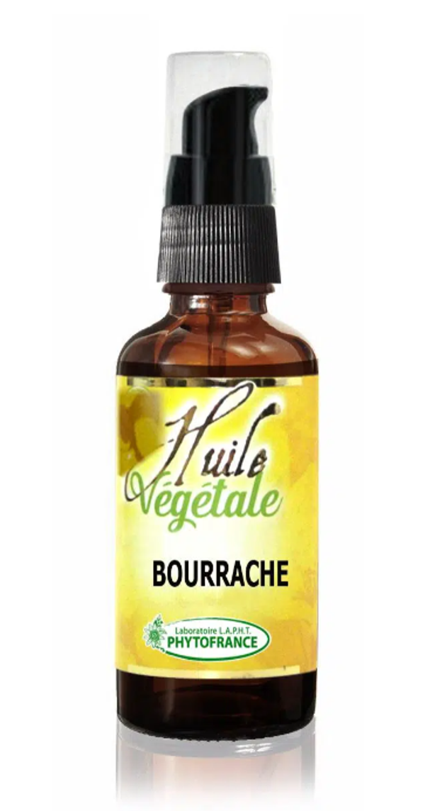 BOURRACHE