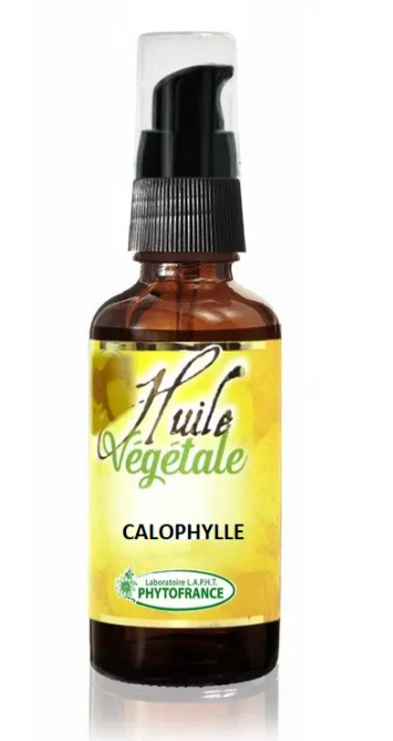 CALOPHYLLE