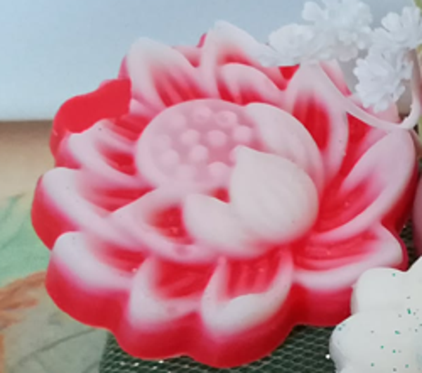 Fleur de Lotus