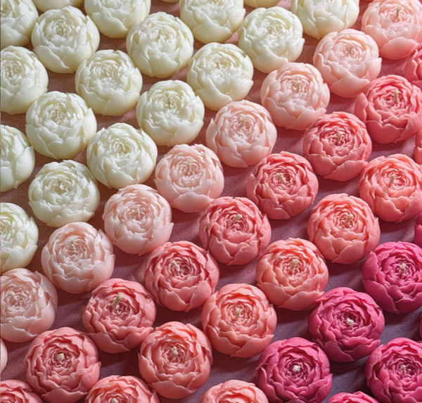 PIVOINE