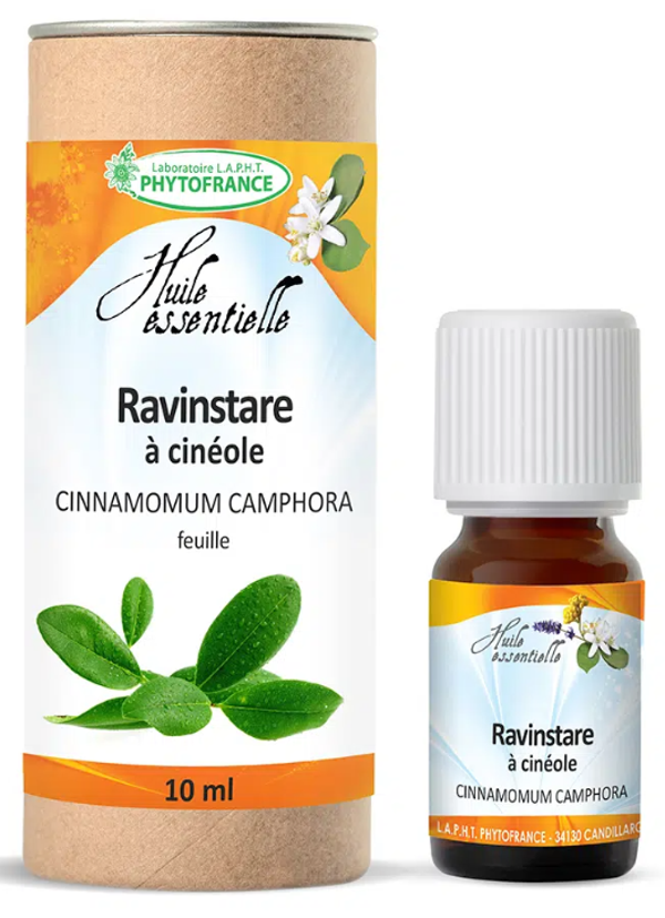 Ravintsara