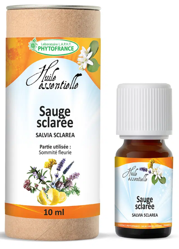 Sauge Sclarée