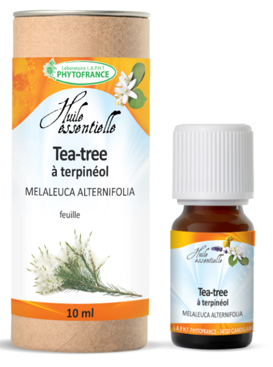 Tea Tree