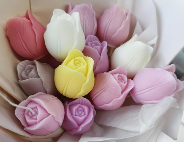TULIPE