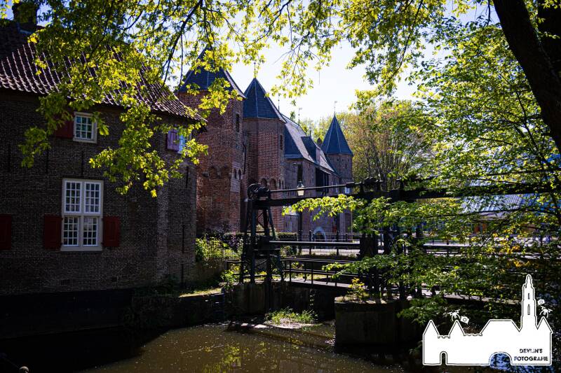 devlin_fotografie_1776869892_3880988405077173482_26437950859-standard.jpg