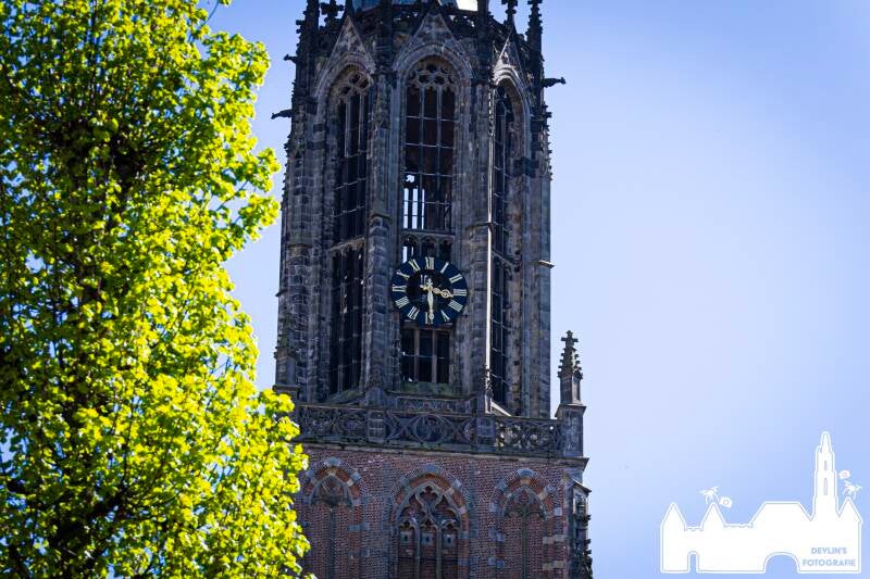 devlin_fotografie_1776870165_3880990696979077032_26437950859-standard.jpg