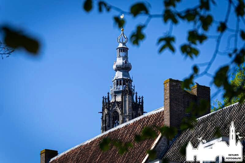 devlin_fotografie_1776870300_3880991826823920937_26437950859-standard.jpg