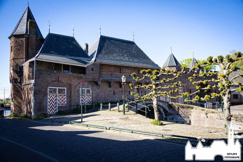 devlin_fotografie_1777488881_3886180861490001233_26437950859-standard.jpg