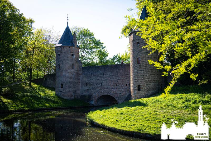 devlin_fotografie_1777489718_3886187879760189362_26437950859-standard.jpg