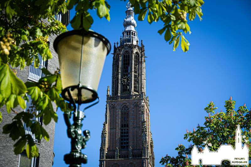 devlin_fotografie_1777489836_3886188870320566682_26437950859-standard.jpg