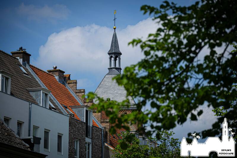 devlin_fotografie_1778431804_3894090678758056272_26437950859-standard.jpg