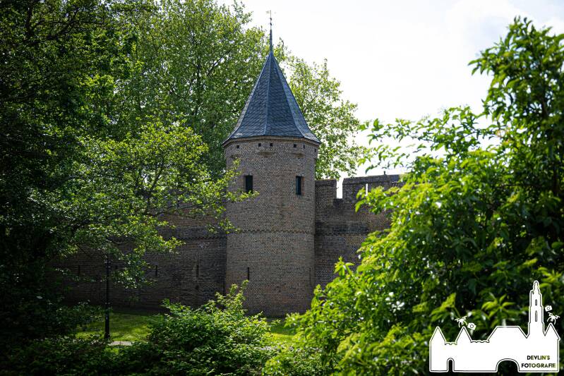 devlin_fotografie_1778439195_3894152671577830021_26437950859-standard.jpg