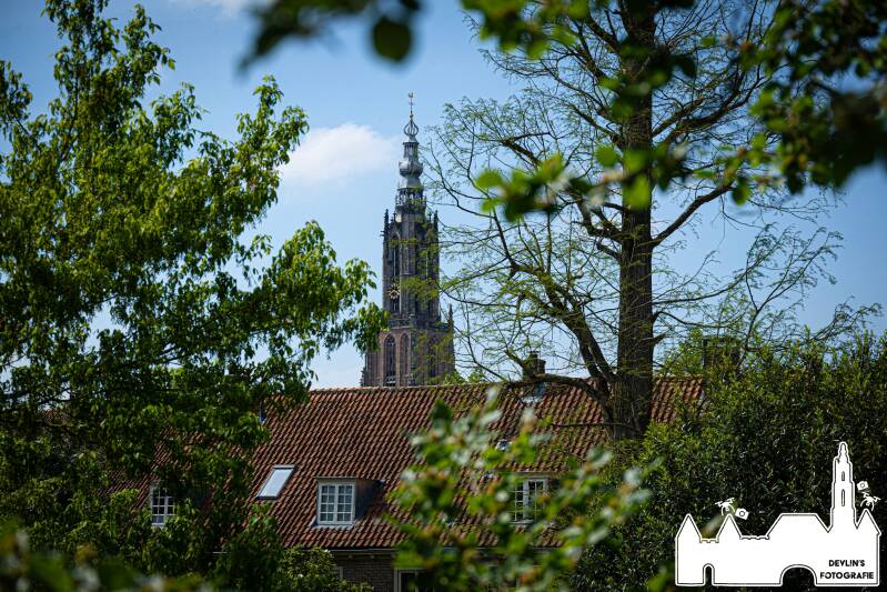devlin_fotografie_1778439365_3894154096609376603_26437950859-standard.jpg