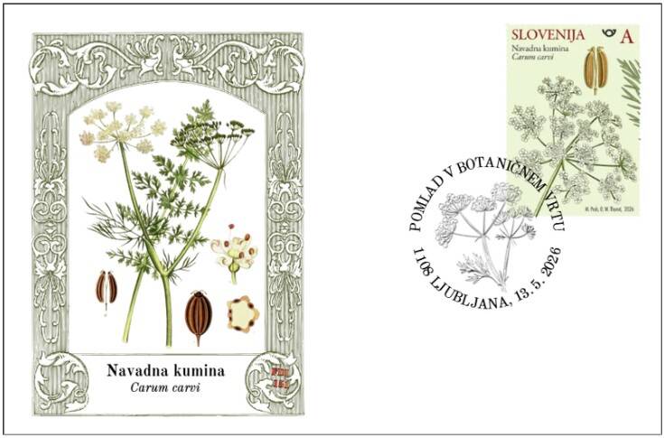 151_pomlad-v-botani-nem-vrtu-standard.jpg