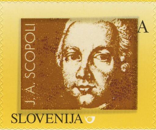 2007_01_scopoli-standard.jpg