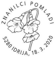 2020_126-standard-6iesli.jpg