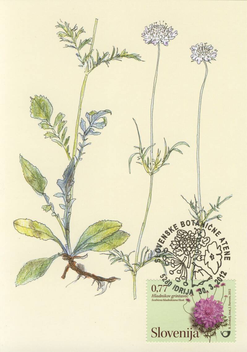91_slovenske-botani-ne-atene_hladnikov-grintavec_mk-standard.jpg