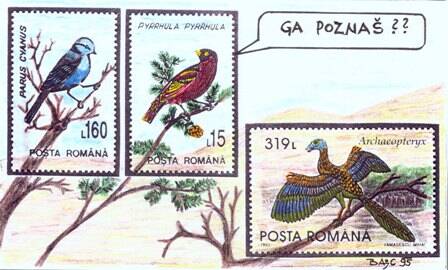 bajc_ga-pozna_-standard.jpg