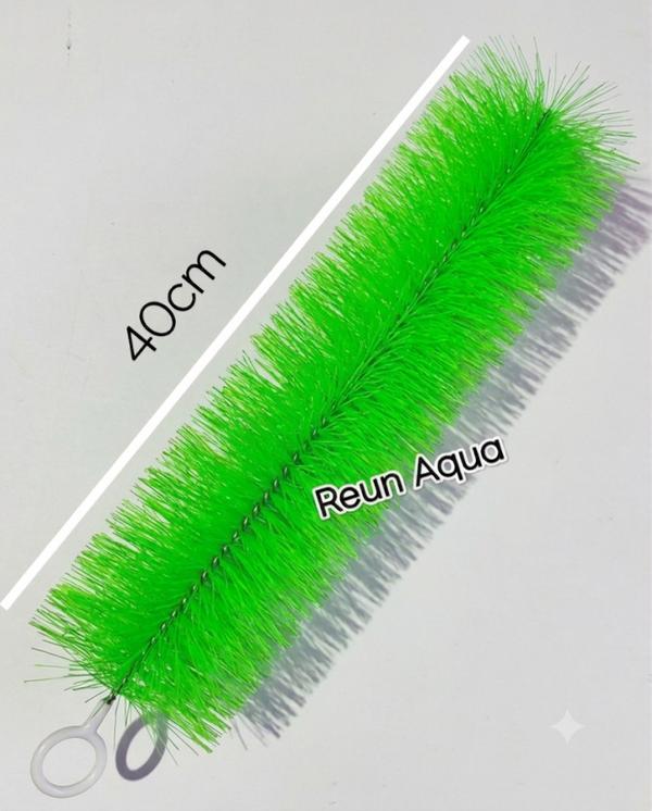 Brosses filtrantes vertes