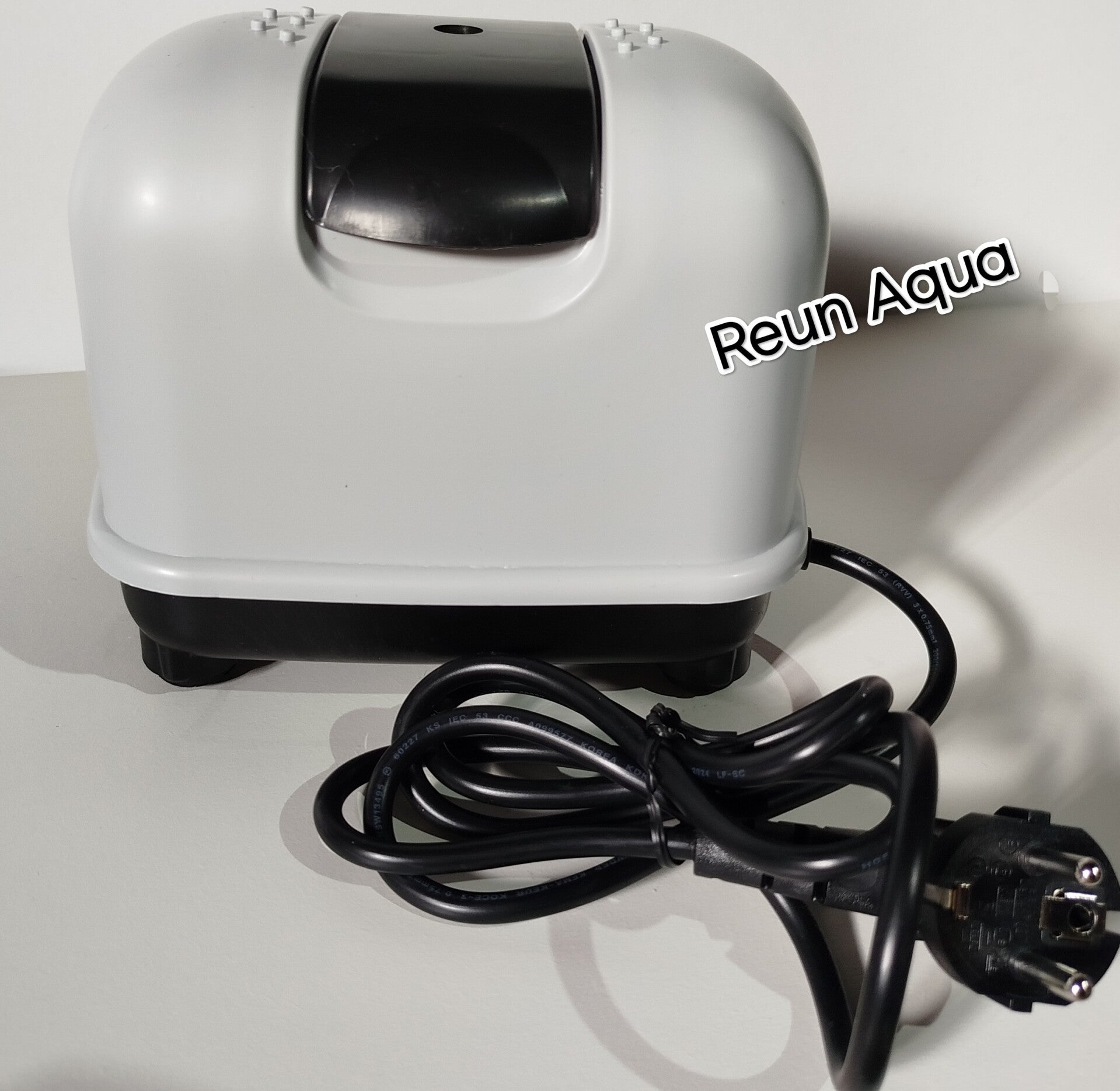 Pompe à air DY-20
