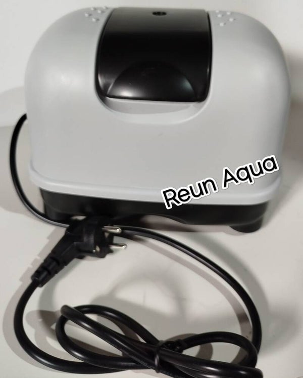 Pompe à air DY-60
