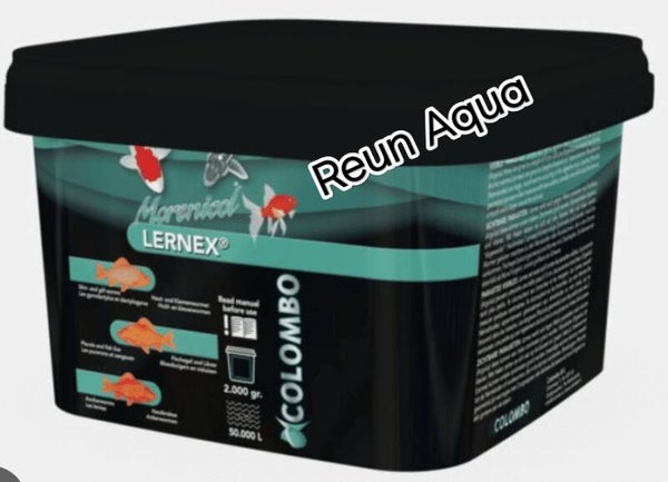 LERNEX COLOMBO 2000gr/50000L