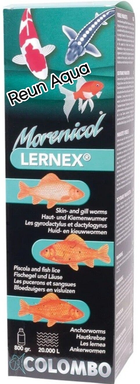 LERNEX COLOMBO 800gr/20000L