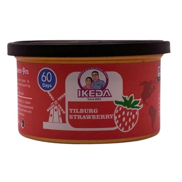 🍓 Strawberry – Erdbeere