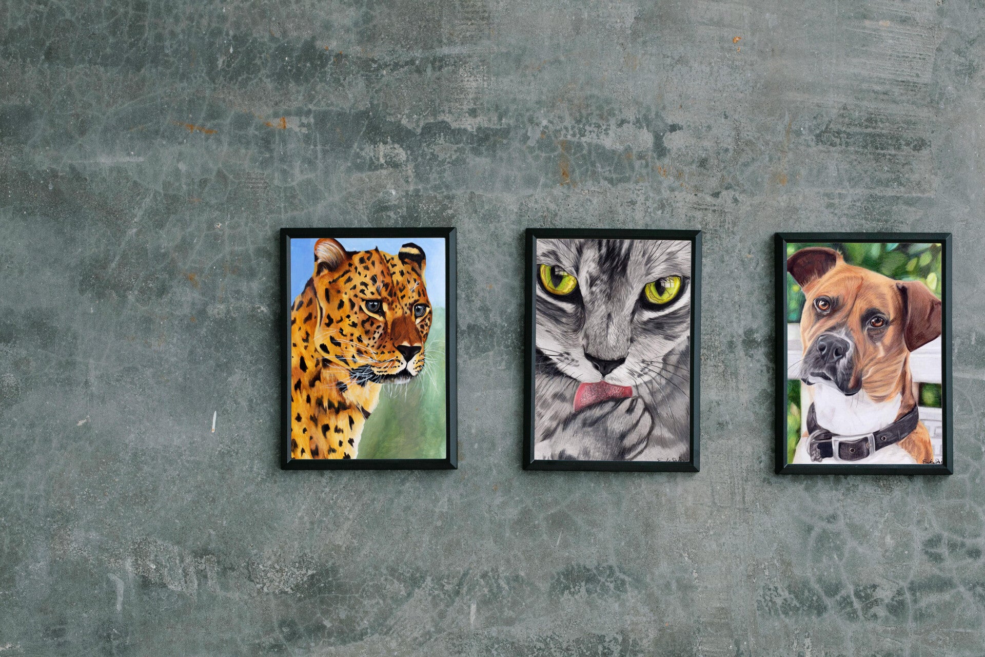 three illustrations of animals the first is a leopard, 2nd is a cat and third is a dog