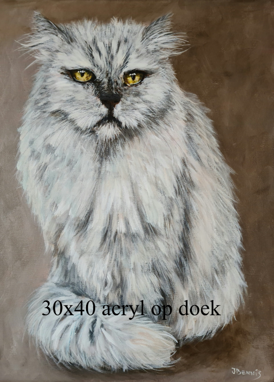 Schilderij Dierenportret kat
