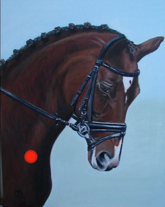 Schilderij Dierenportret
