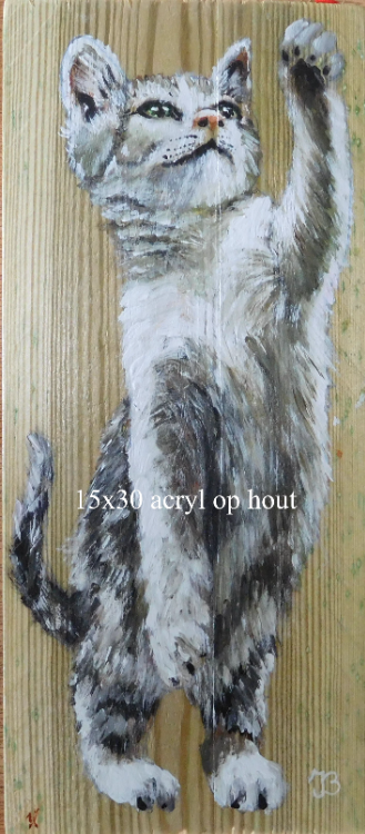 Schilderij Dierenportret Kat