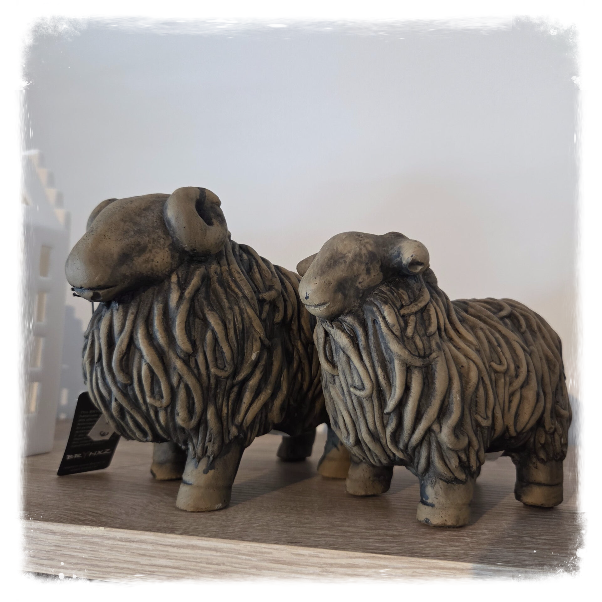 Brynxz set van 2 Hooglander rammen schapen