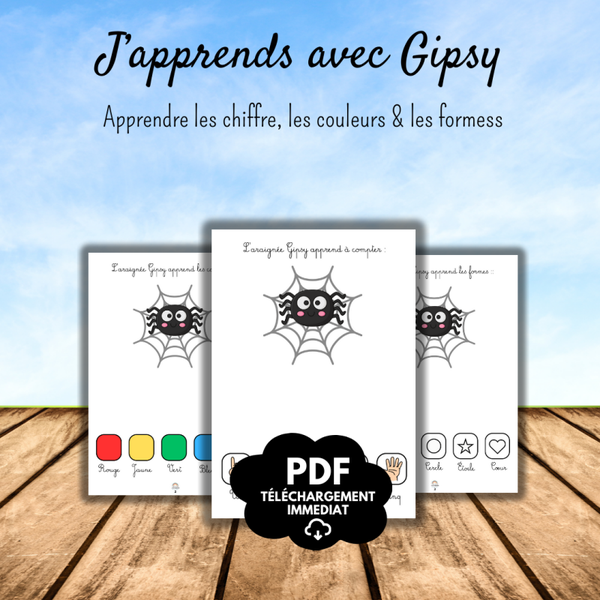 PDF Apprendre avec Gipsy