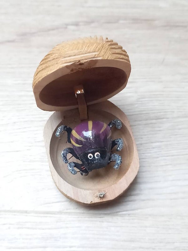 Boîte à chagrin Scarabée