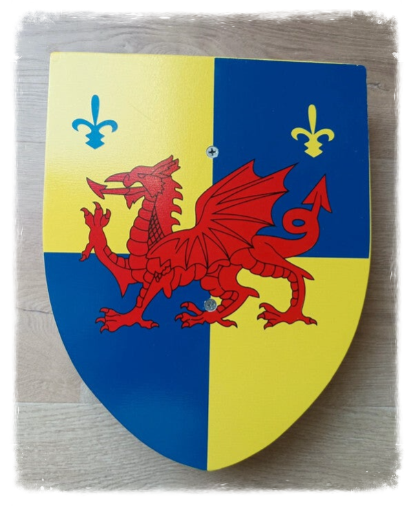 Bouclier bois - Dragon