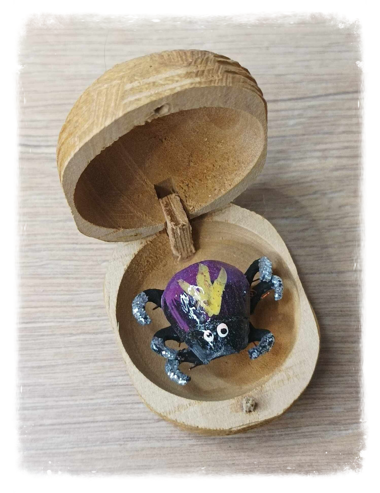 Boîte à chagrin Scarabée