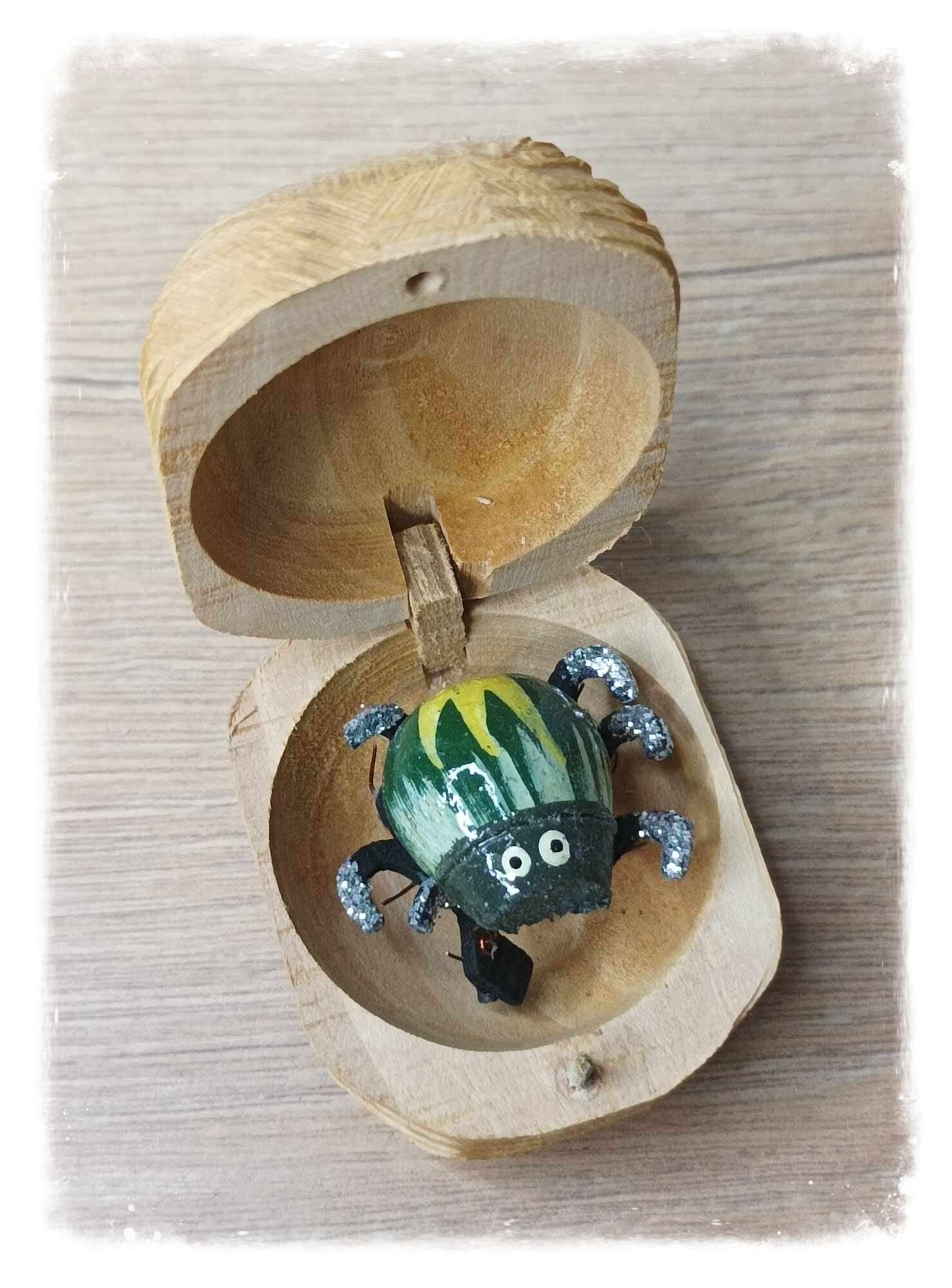 Boîte à chagrin Scarabée