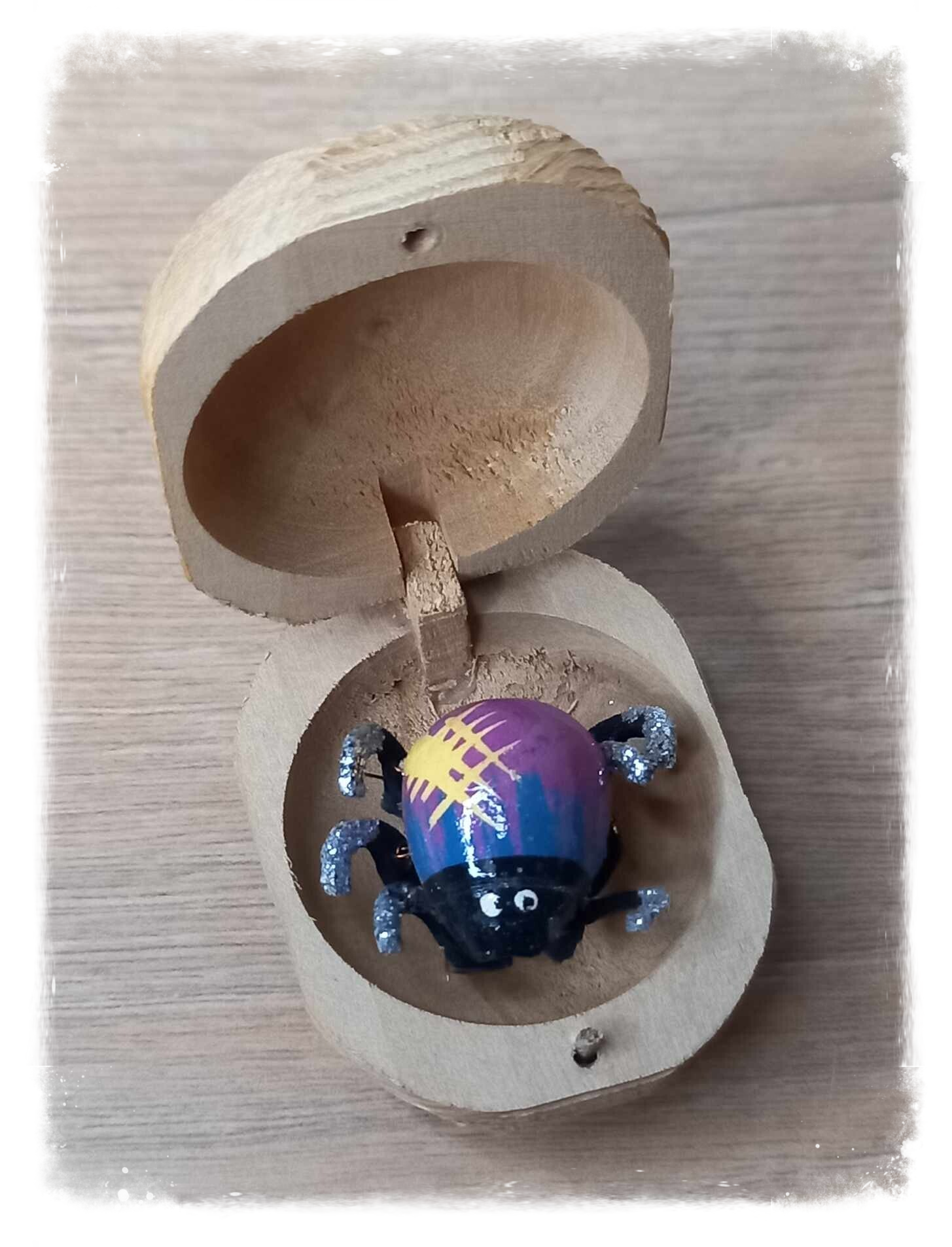 Boîte à chagrin Scarabée