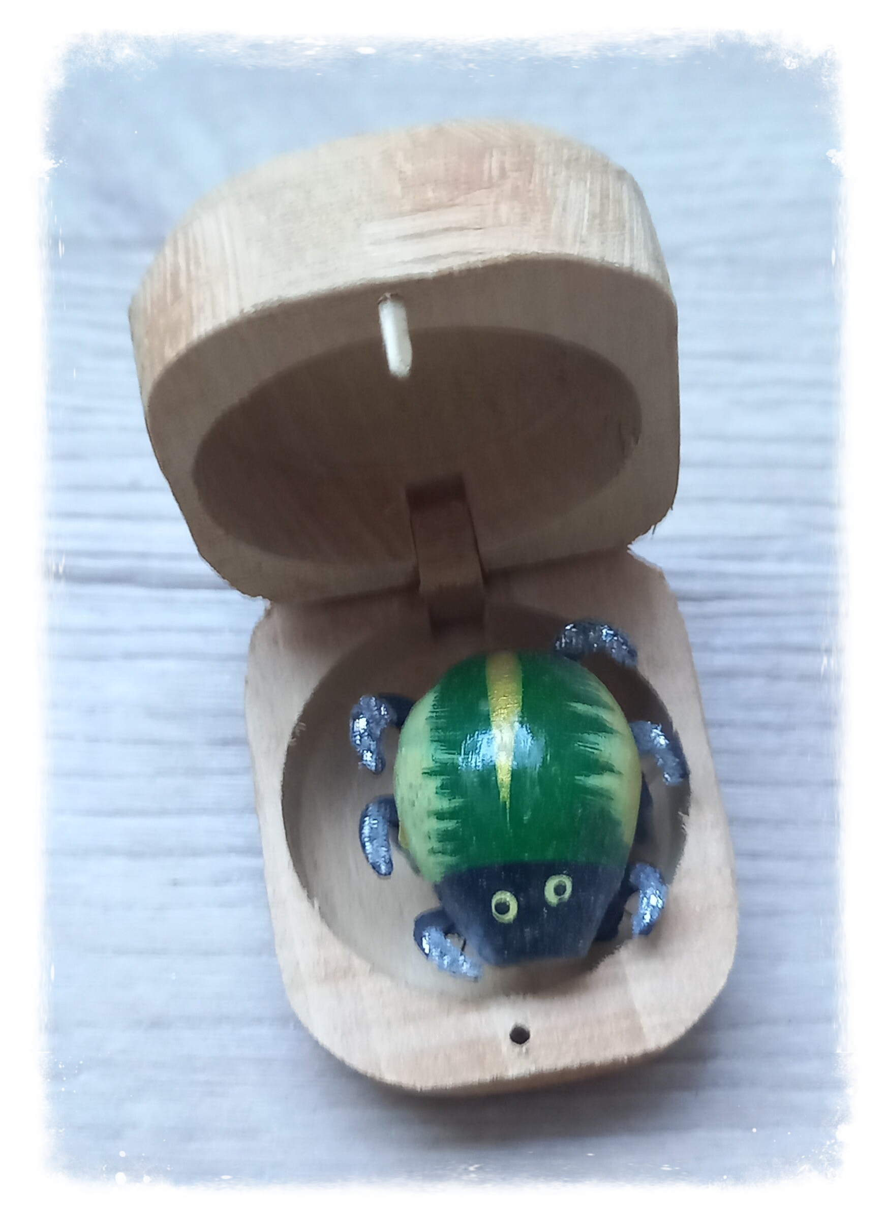 Boîte à chagrin Scarabée