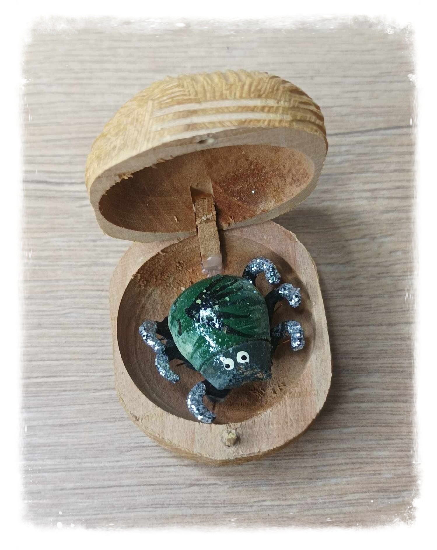 Boîte à chagrin Scarabée