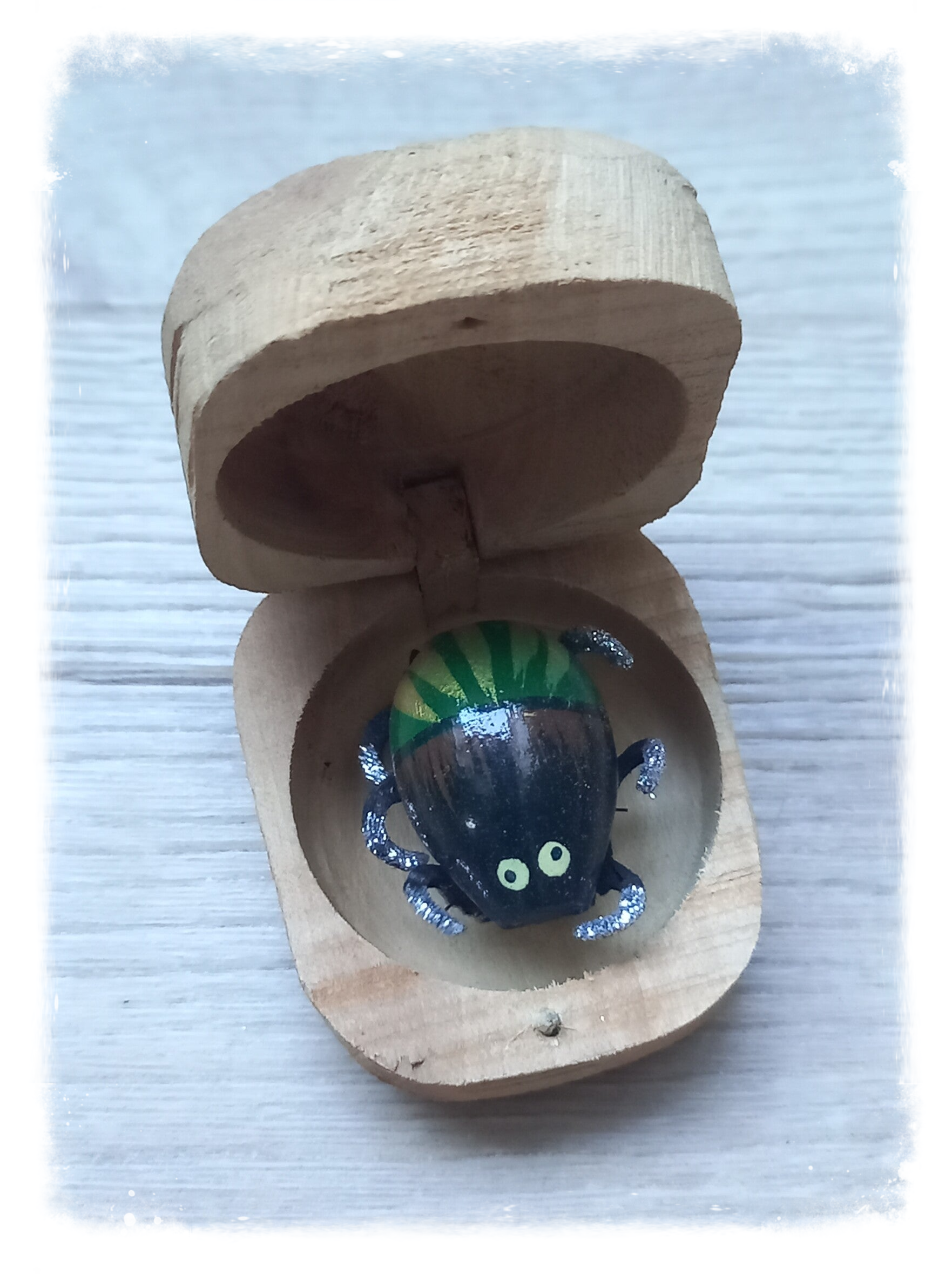 Boîte à chagrin Scarabée