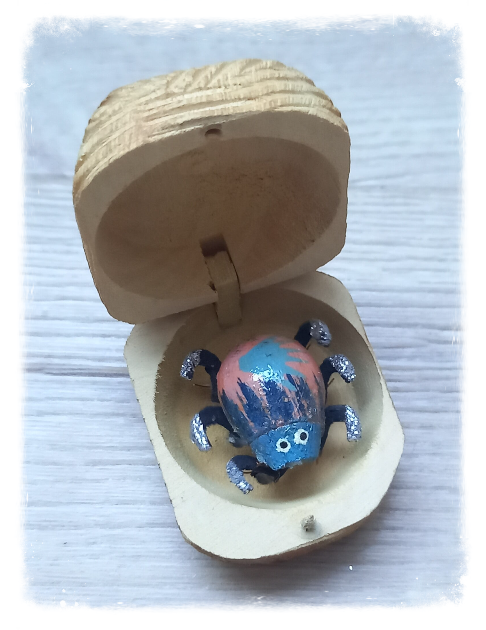 Boîte à chagrin Scarabée