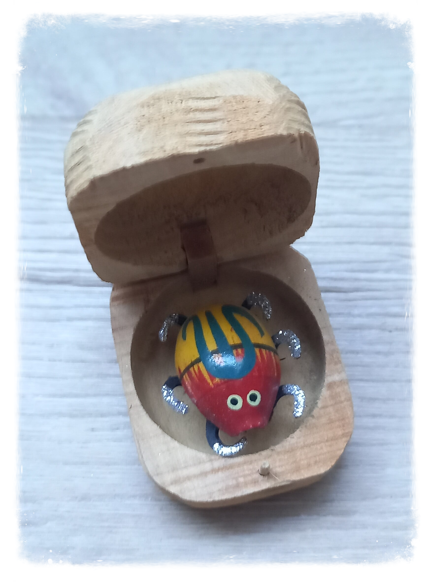 Boîte à chagrin Scarabée
