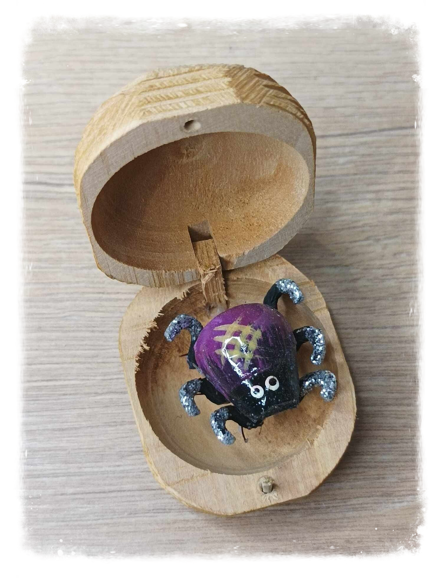 Boîte à chagrin Scarabée