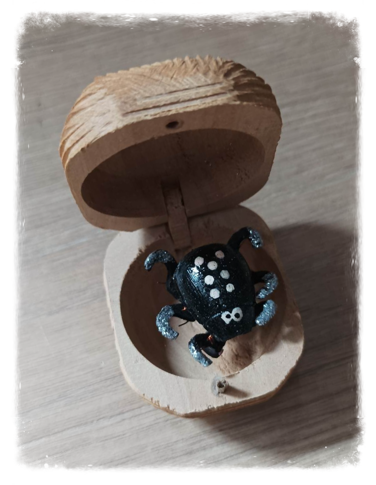 Boîte à chagrin coccinelle - Noire